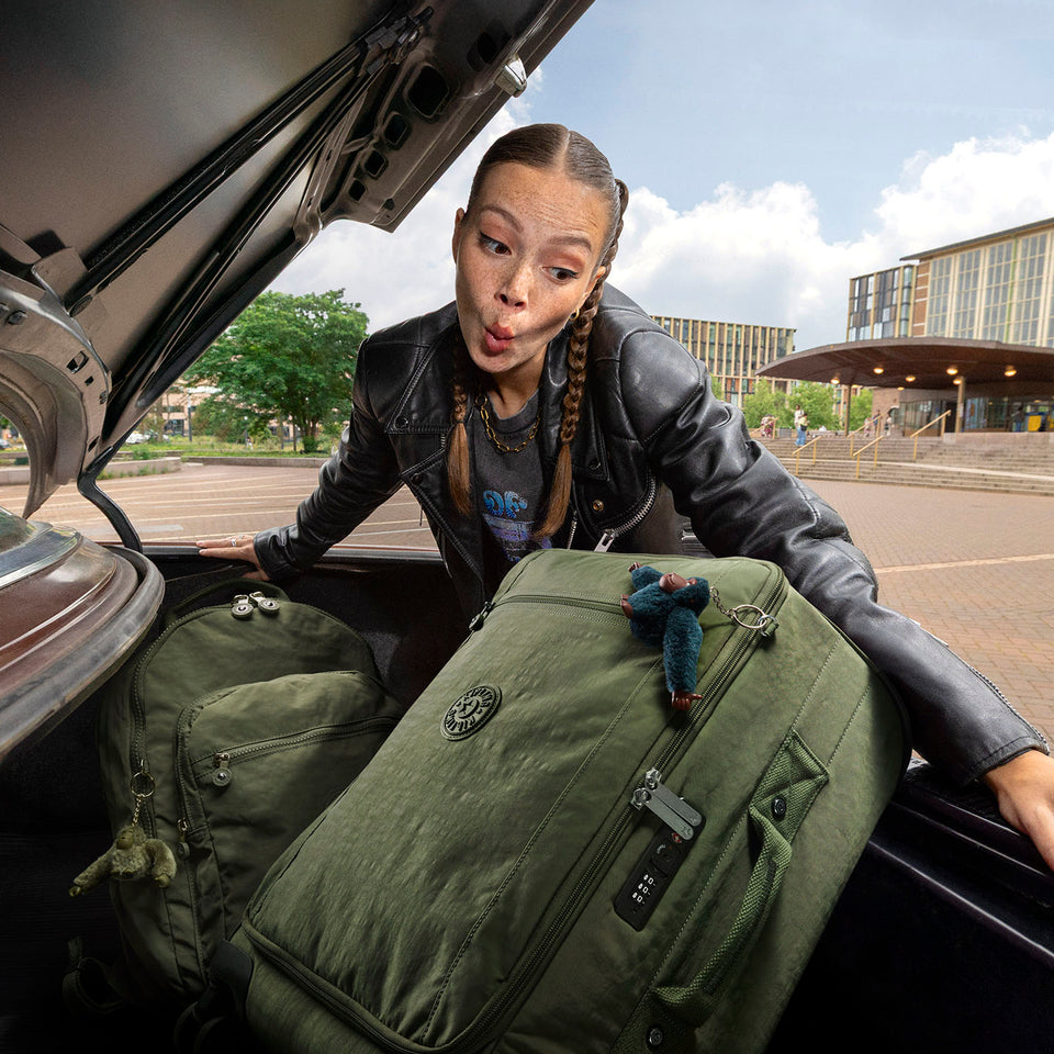 All Luggage