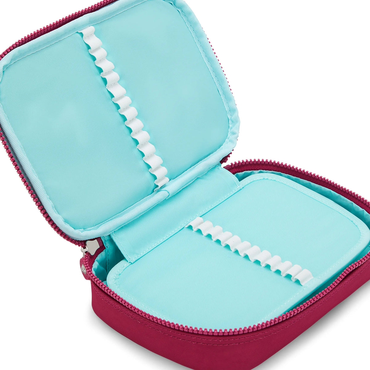 100 Pens Case
