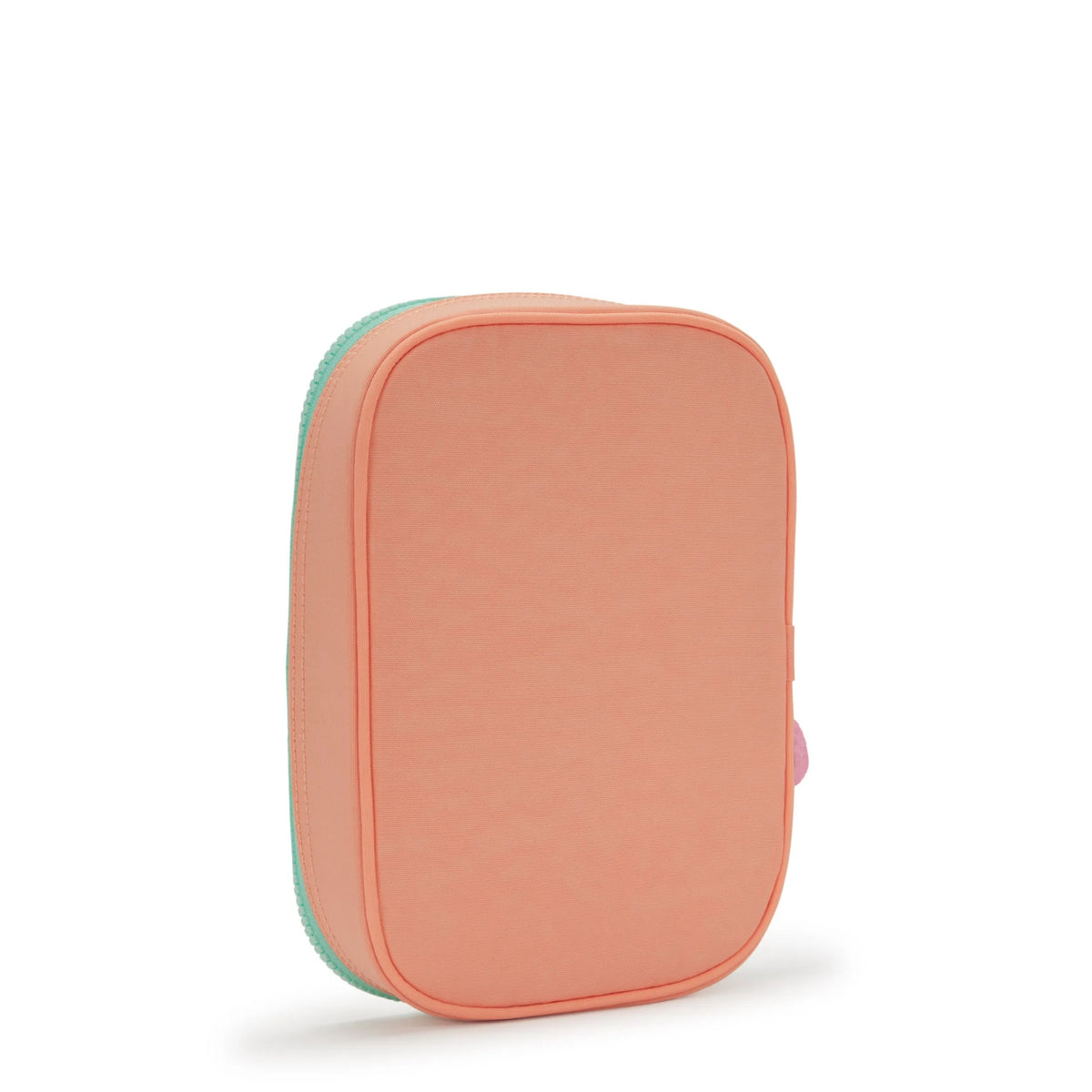 100 Pens Case