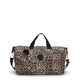 Wild Leopard