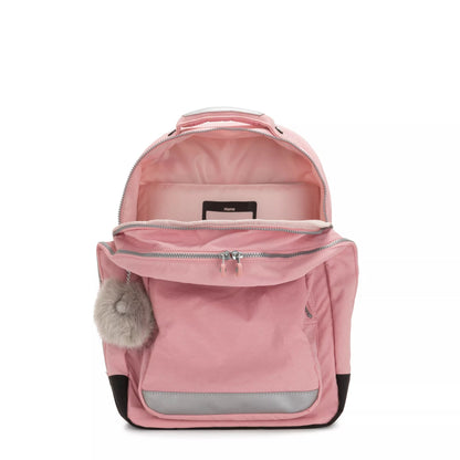 Classroom 17" Laptop Backpack