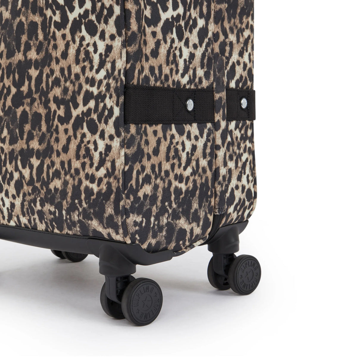 Spontaneous Medium Printed Rolling Luggage