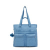 Vintage Blue