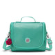 Oasis Mint Metallic