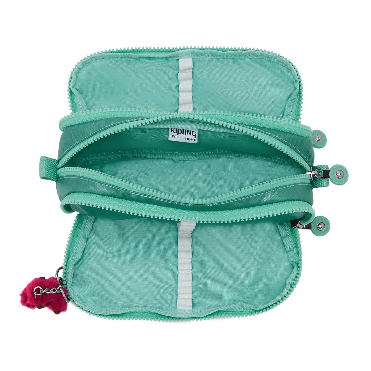 Gitroy Metallic Pencil Case