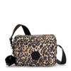 Wild Leopard