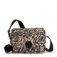 Wild Leopard