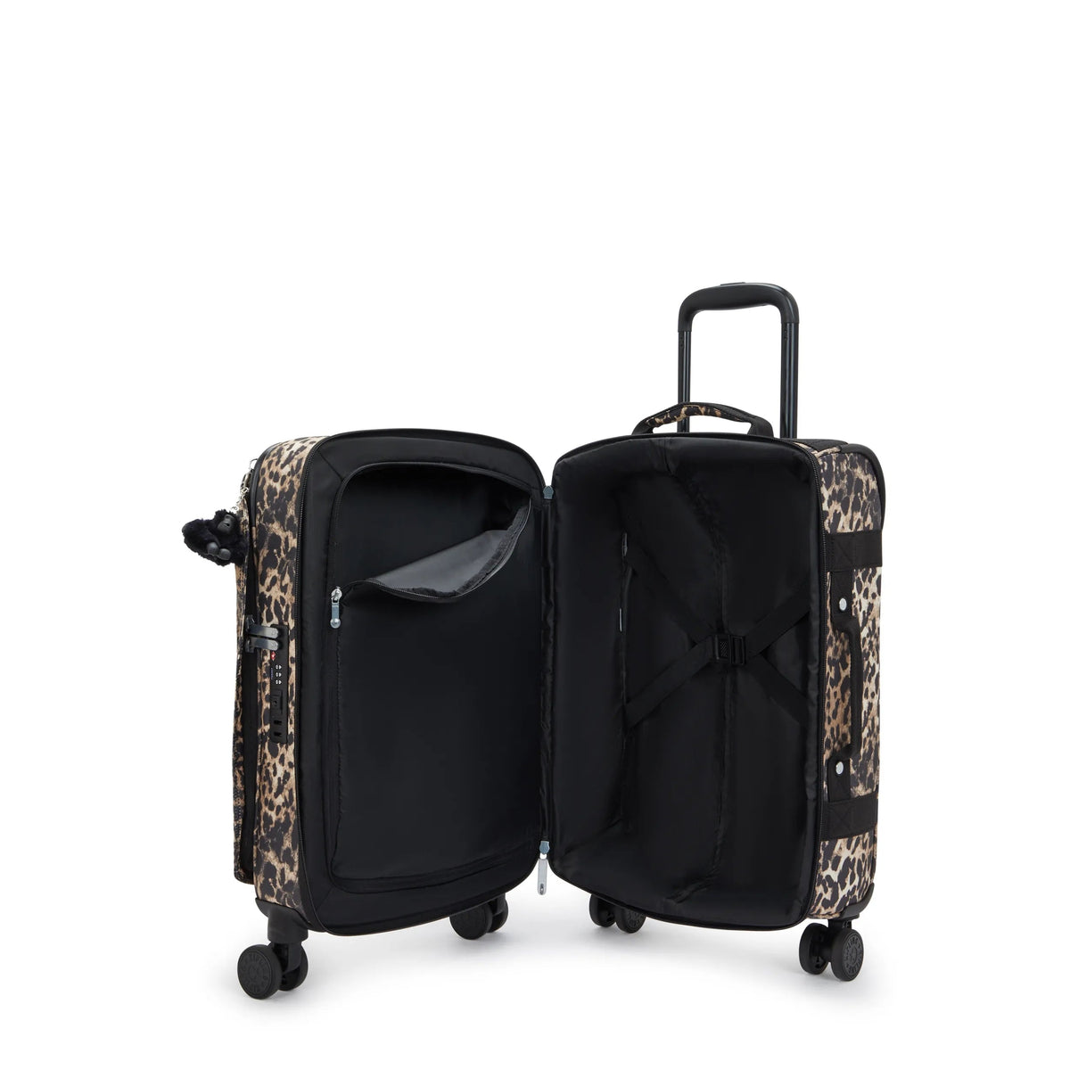 Spontaneous Small Printed Rolling Luggage
