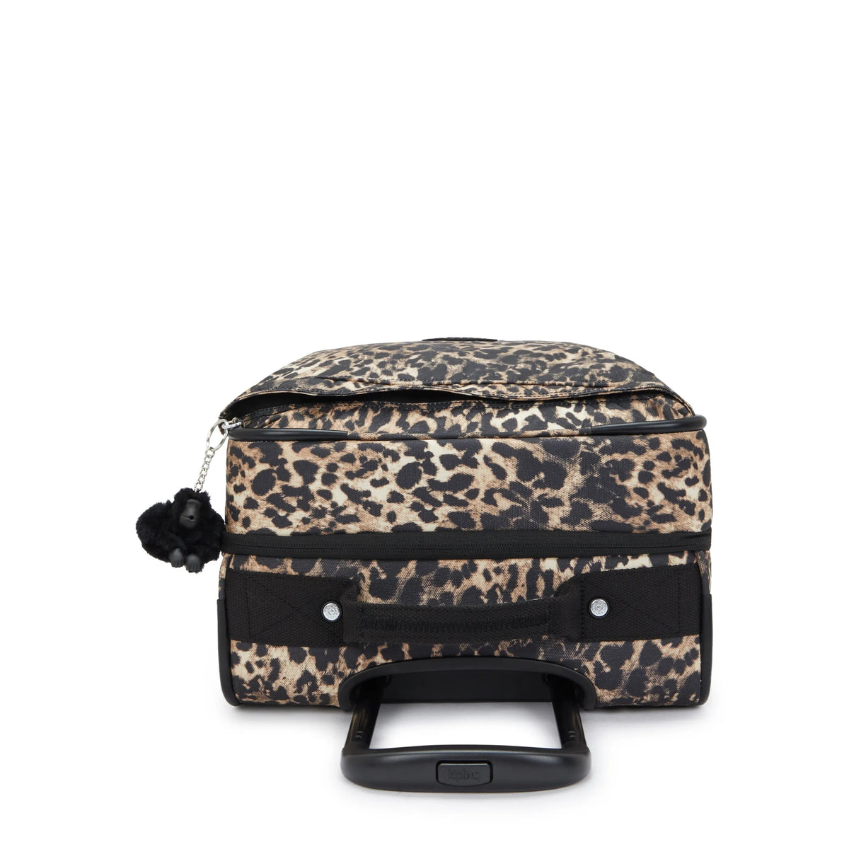Spontaneous Small Printed Rolling Luggage