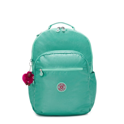 Mint Metallic School Set