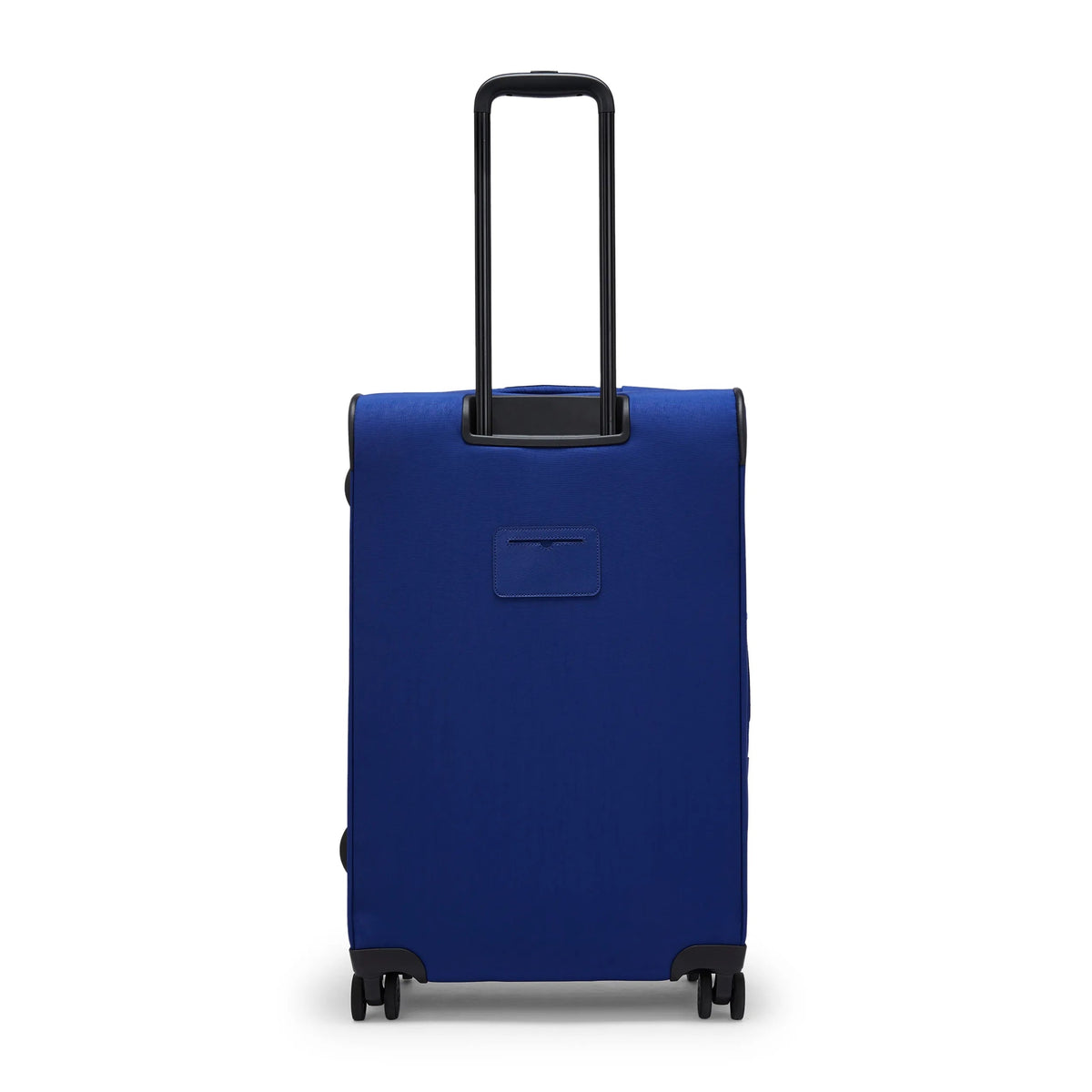 New Youri Spin Medium Printed Rolling Luggage