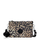 Wild Leopard