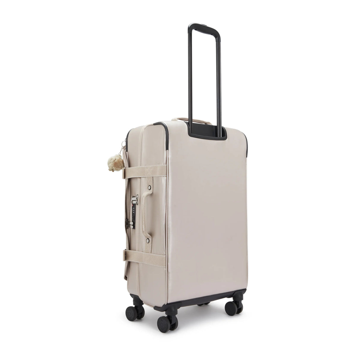 Spontaneous Medium Rolling Luggage