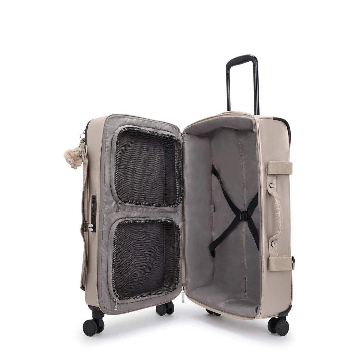 Spontaneous Medium Rolling Luggage