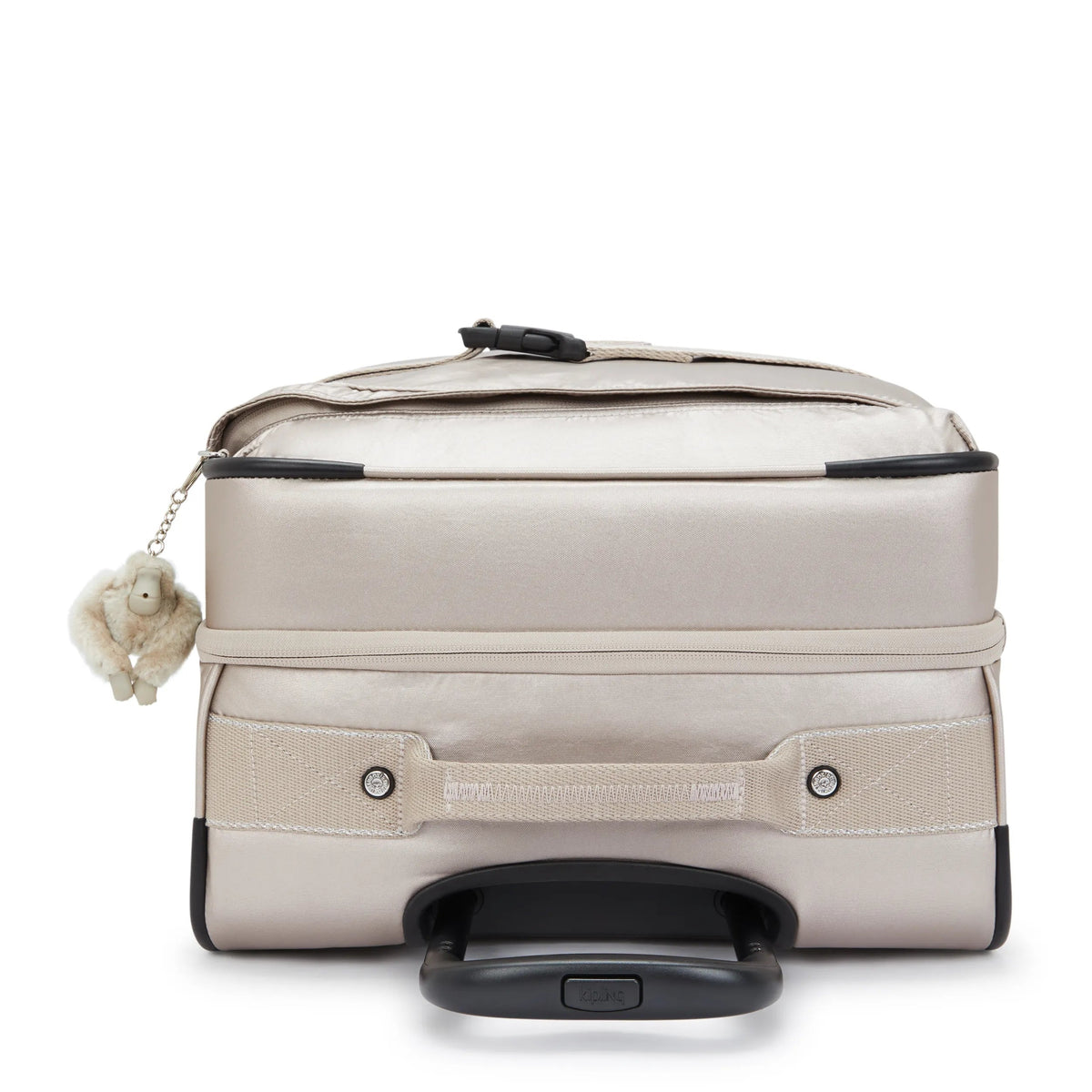 Spontaneous Medium Rolling Luggage