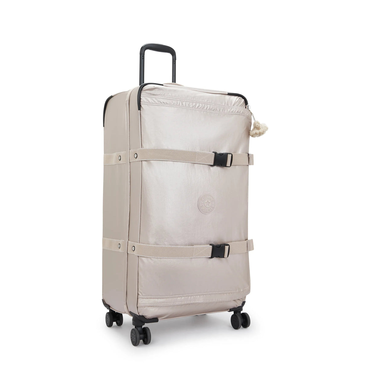 Spontaneous Large Metallic Rolling Luggage