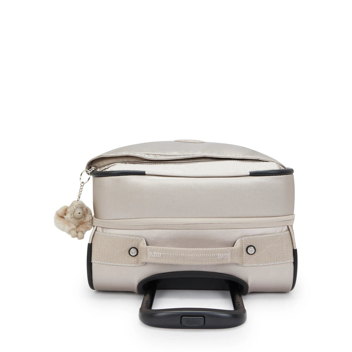 Spontaneous Small Metallic Rolling Luggage