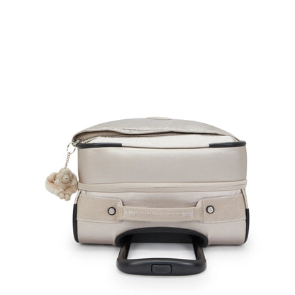 Spontaneous Small Metallic Rolling Luggage