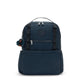 True Blue Tonal